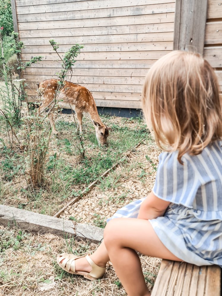 20200717_122237 (4)4890919716427284542..jpg